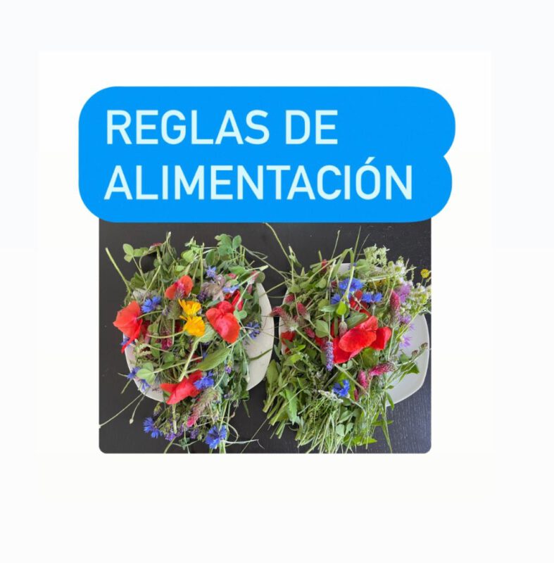 242ea2d9 cc32 4c45 8c33 f37aa297759f