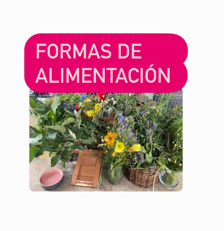 2646aff9 25ea 464a 9d33 f182a223e32f