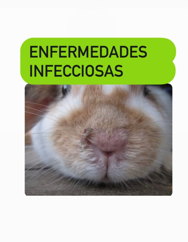 5953e72f 7e1a 4d39 9269 b380fb67b469