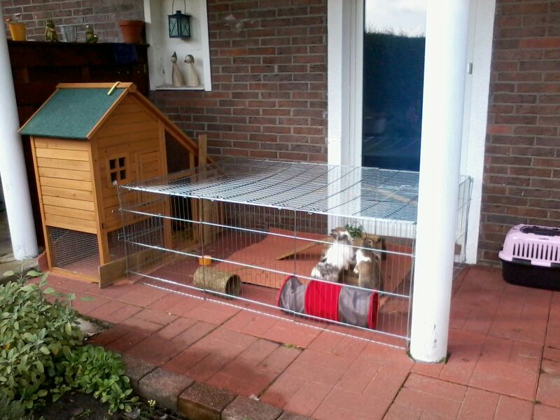 kaninchengehege terrasse 1