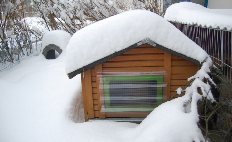 casa conejo con nieve