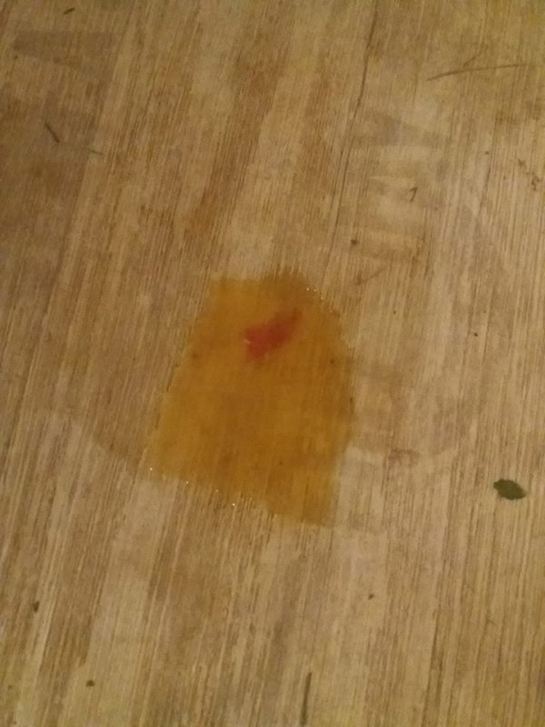 Imagen de una mancha de suciedad en el suelo, relacionada con la higiene de conejos.