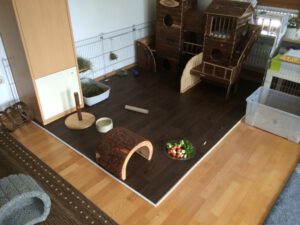 Habitacion con una zona habilitada para los conejos con una casa grande de madera de 2 modulos, con pasillos y tres pisos para que jueguen, las paredes estan protegidas con verjas de los dientes de los conejos, tienen tuneles, una zona para la comida fresca.