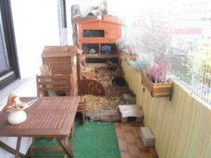 un balcon con una alfombra alargada para que los conejos no resbalen, una casita de 3 pisos al final para refugiarse, zona de cavar y jugar, protegida con una verja de los depredadores