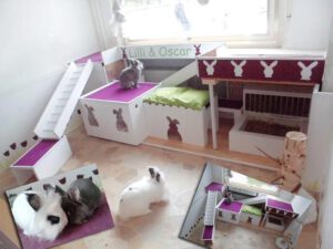 Habitacion de conejos de Lili y Oscar, con distintos niveles de altura, pasillos y zonas de descanso, el suelo es de pvc para proteger el parket debajo y que las patas de los conejos no resbalen.