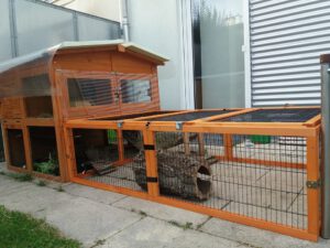 Caseta exterior para los conejos, de 12 metros cuadrados con dos pisos y zona de tranquilidad. protegida de la lluvia del viento, del so y de los depredadores, sobre suelo de loseta