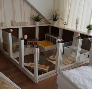 Zona habilitada para conejos, con pareces de crista, abierta por arriba, de unos 8 metros cuadrados, con zona para comer, caja de escarbar, y diversos juguetes de madera para entretenerse